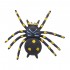 Araña antiestrés