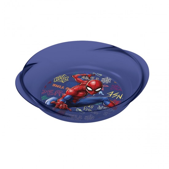 plato Spiderman CARTOONS