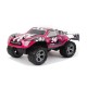 Auto tipo Rally con Control