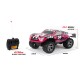 Auto tipo Rally con Control