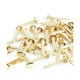 Broches FOSKA 20MM