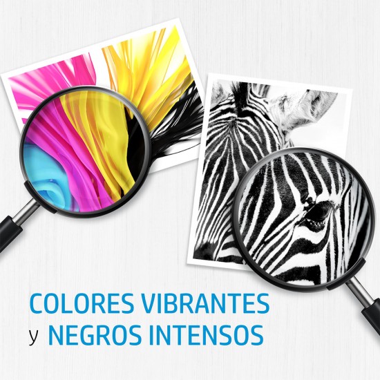 Cartucho de tinta HP 662 negra Original