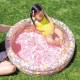 Piscina Dulce flor INTEX