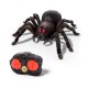 Tarantula Radiocontrolada