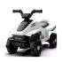 Buggy Cuatriciclo