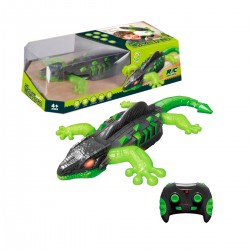 RC Iguana