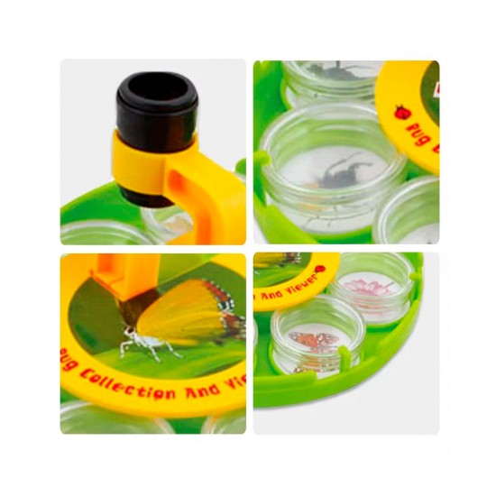 Explorador Insectos