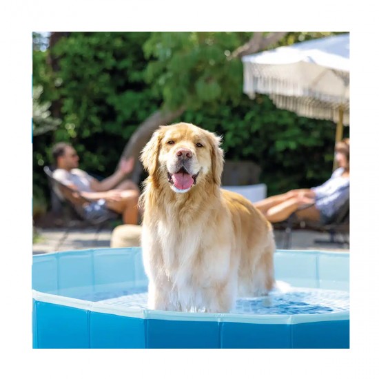 Piscina Plegable INTEX Para Mascotas 152x30cm
