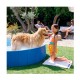 Piscina Plegable INTEX Para Mascotas 152x30cm