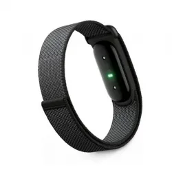 Google Fitbit Air Correa de actividad física