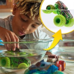 Color Change Vehiculos Surtido