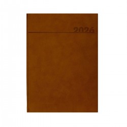 Agenda 2026 Teano Semanal Camel