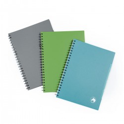 Cuadernola CABALLITO 80HS.GR/AZ/VE