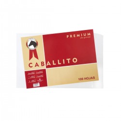 Hoja dibujo Caballito 25x35 100 hojas