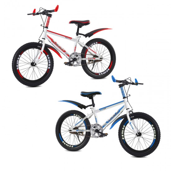 Bicicleta Rodado 20